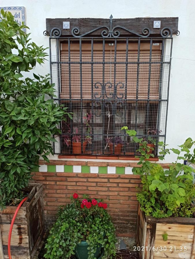 La Casita De Paco Albaicin Apartment Granada Ngoại thất bức ảnh